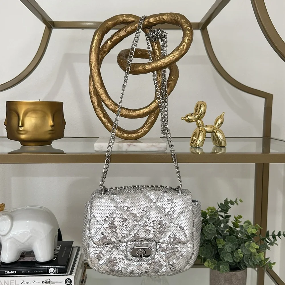 Silver sequin purse